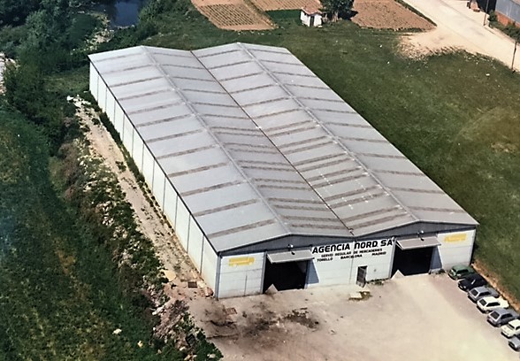 1981